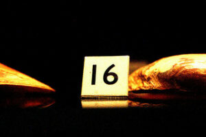 16 by  Karen_O'D from Flickr (Creative Commons License)