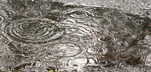 Water Puddle by paweesit from Flickr (Creative Commons License)