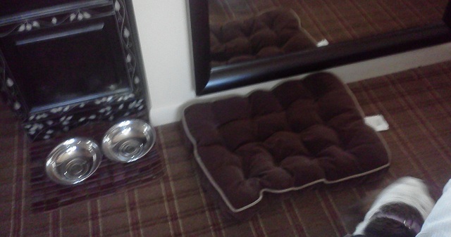 Dog Bed and Bowls