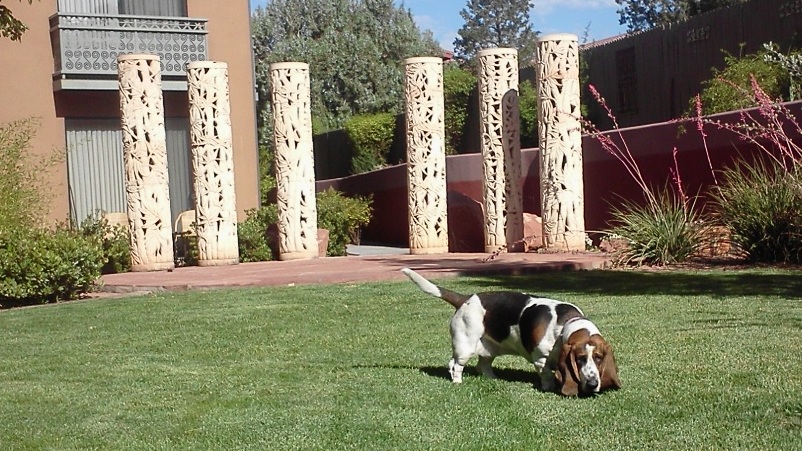 Rosie in the Column Garden