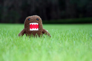 Domo Attacks Florida by Richard Elzey from Flickr (Creative Commons License)