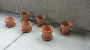 Six flower pots filled with possibilities - soon to be filled with dirt.